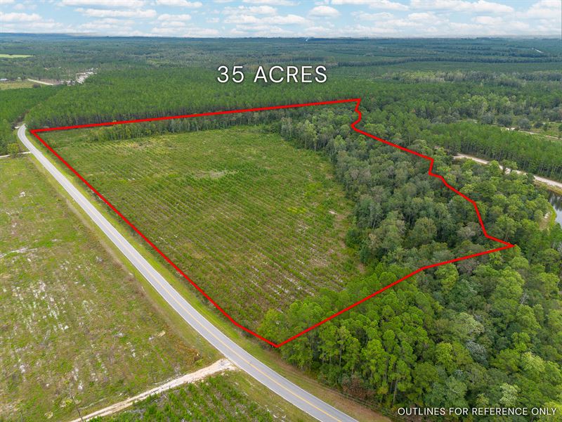 35 Acres, Hidden Country Retreat : Folkston : Charlton County : Georgia