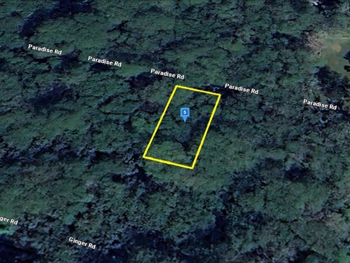 Accessible Land for $516.67/Month : Pahoa : Hawaii County : Hawaii