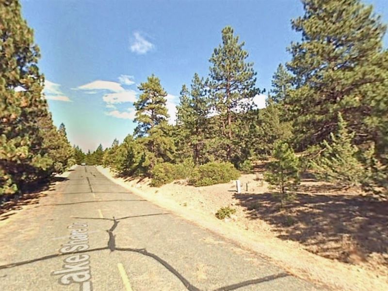 Half Acre in Lake Shastina : Weed : Siskiyou County : California