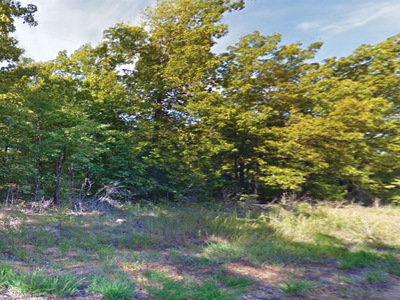 Dream Big in Sharp County : Williford : Sharp County : Arkansas