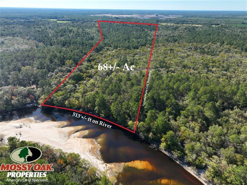 68 Acres on The Satilla River : Nahunta : Brantley County : Georgia
