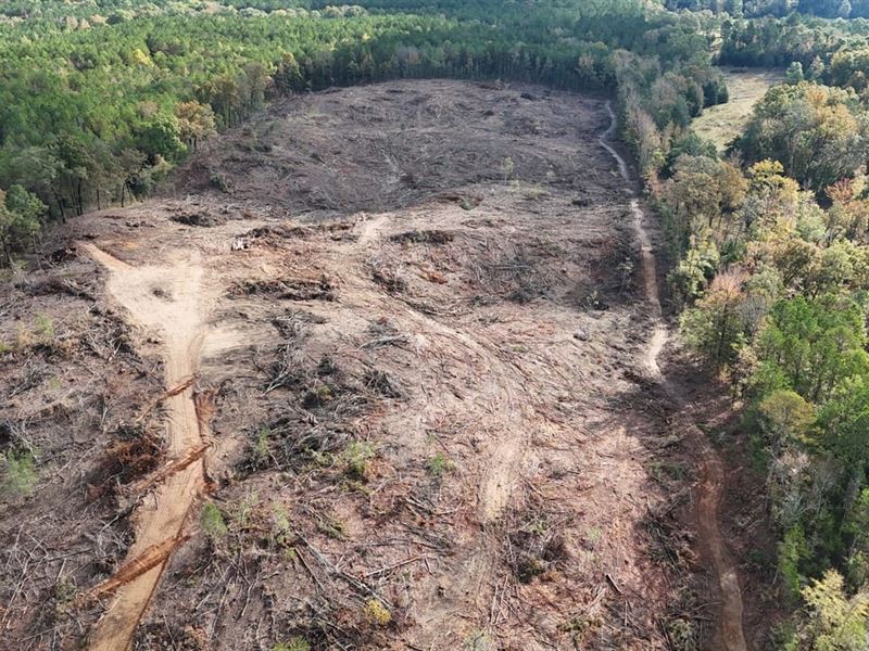 Eddington Road : Pontotoc : Pontotoc County : Mississippi