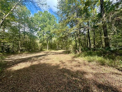 145.97 Acres in Lowndes County, AL : Lowndesboro : Lowndes County : Alabama