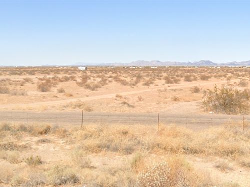 Unplug and Recharge Under AZ Sky : Dateland : Yuma County : Arizona