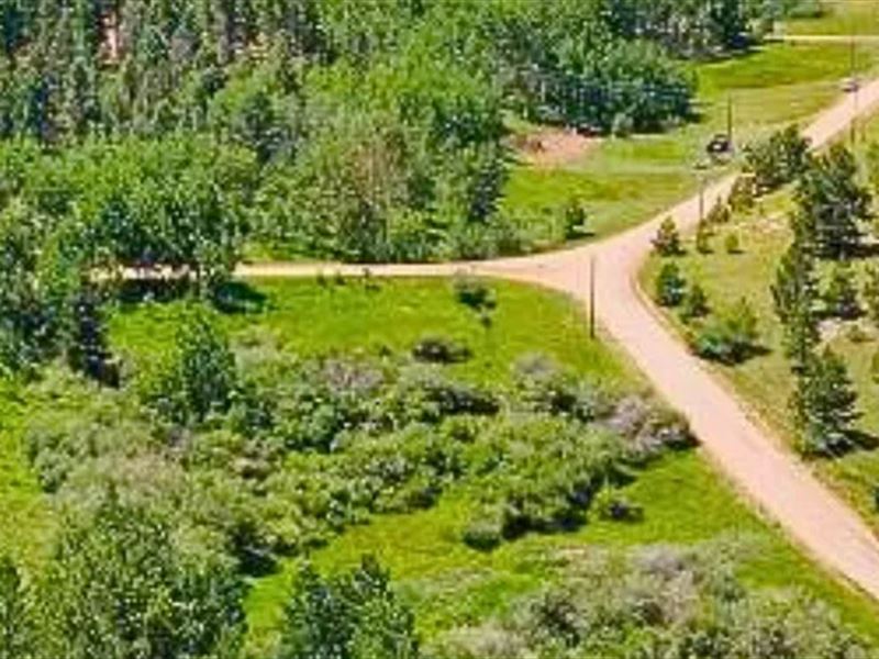 Perfect Cabin Site in Florissant : Florissant : Teller County : Colorado