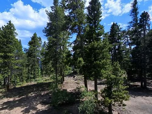 Invest in Idaho Springs : Idaho Springs : Clear Creek County : Colorado