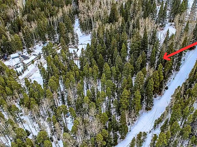 Invest in Colorados Scenic Land : Idaho Springs : Clear Creek County : Colorado