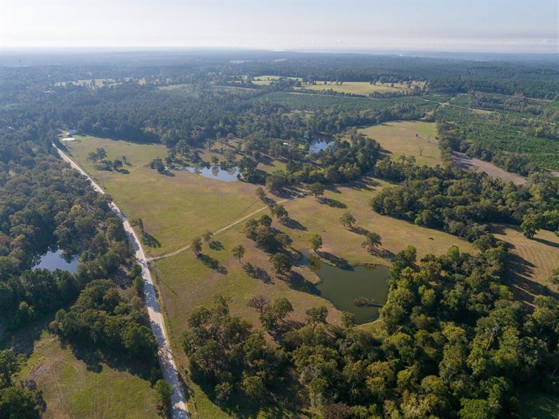 100+ Acres, Heaven's Ranch, Glend : Trinity : Trinity County : Texas