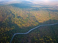 229 Acres, Bengal Road, Oklahoma : Red Oak : Latimer County : Oklahoma