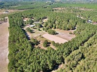 28 Acre Equestrian Property With Ho : Cassatt : Kershaw County : South Carolina