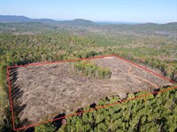 40 Acres Chandler Springs, Clay : Talladega : Alabama