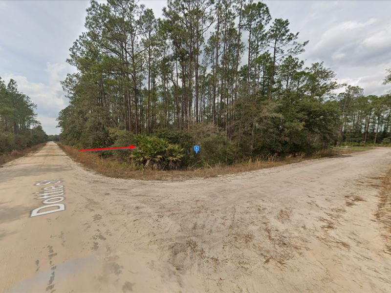 Wooded Lot in Interlachen $233/Mo : Interlachen : Putnam County : Florida