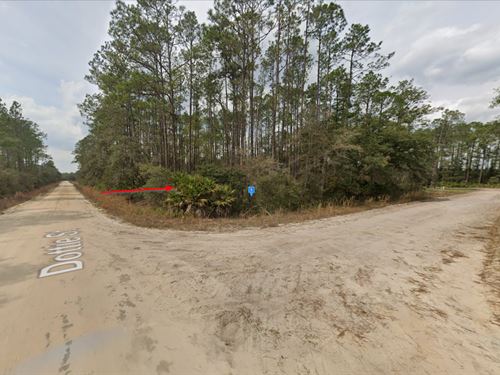 Wooded Lot in Interlachen $233/Mo : Interlachen : Putnam County : Florida