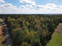 Goldville 6 Acres : Cragford : Clay County : Alabama