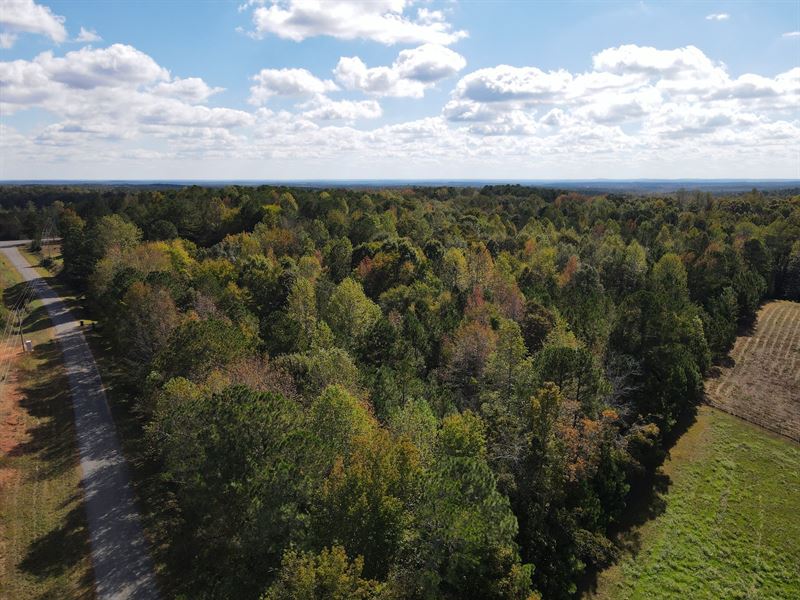 Goldville 6 Acres : Cragford : Clay County : Alabama