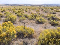 Build, Camp, Go Off-Grid, 10 Acres : Elko : Nevada