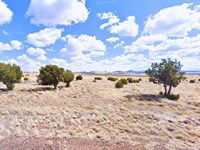 Near Lake, 2.24 Acres, $221/Mo : Concho : Apache County : Arizona