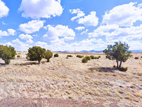 Near Lake, 2.24 Acres, $221/Mo : Concho : Apache County : Arizona