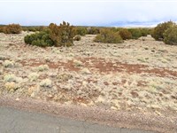 Don't Miss This 2.24 Acres, $221/Mo : Concho : Apache County : Arizona