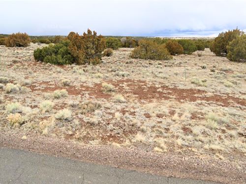 Double Lot, 2.24 Acres, $221/Mo : Concho : Apache County : Arizona