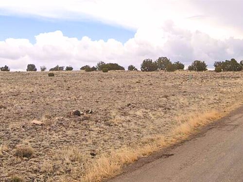 Double Lot, 2.24 Acres, $221/Mon : Concho : Apache County : Arizona