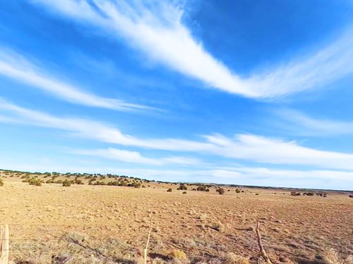 Near Lake, 2.24 Acres, $221/Mo : Concho : Apache County : Arizona