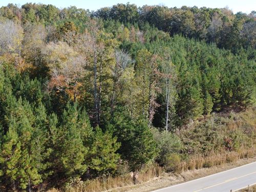 47 Acres in Cleburne County : Ranburne : Cleburne County : Alabama