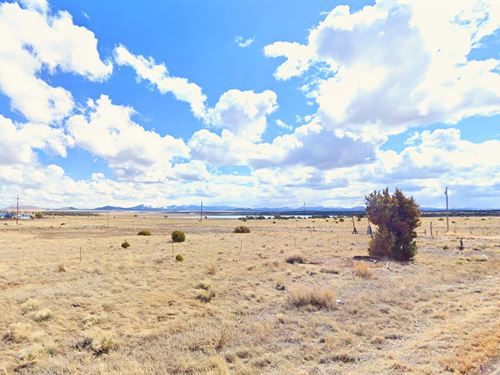 Near Lake, 1.12 Acres $105/Mo. Only : Concho : Apache County : Arizona
