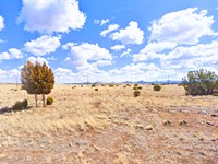 1.12 Acres Near Lake, $105/Mo. Only : Concho : Apache County : Arizona