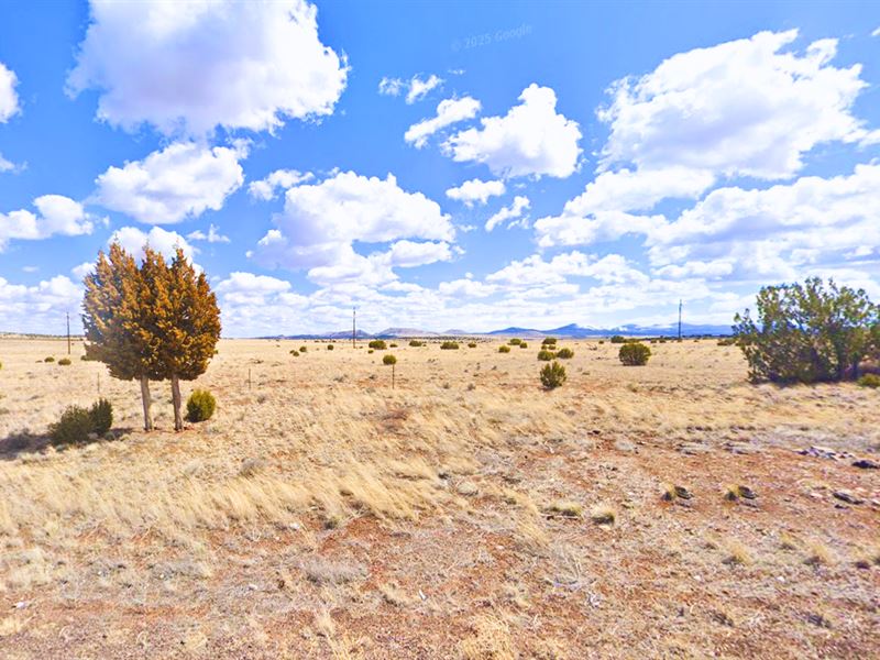 1.12 Acres Near Lake, $105/Mo. Only : Concho : Apache County : Arizona