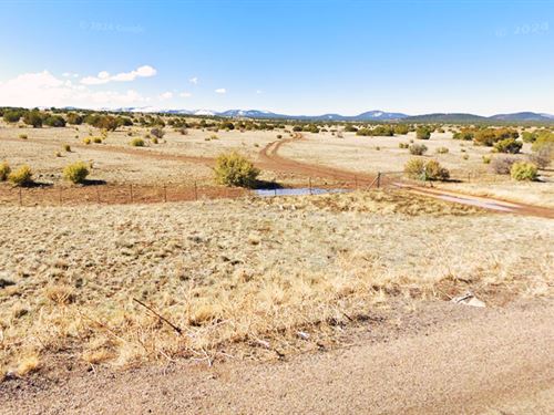 Rare Lot in Az, 1.12 Acre, $105/Mo : Concho : Apache County : Arizona