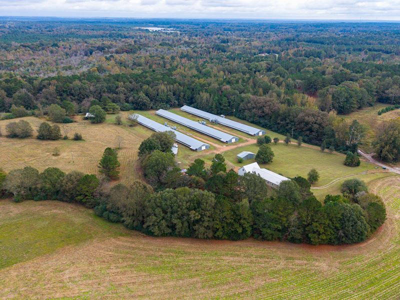 3 House Tyson Spike Farm : Carthage : Leake County : Mississippi