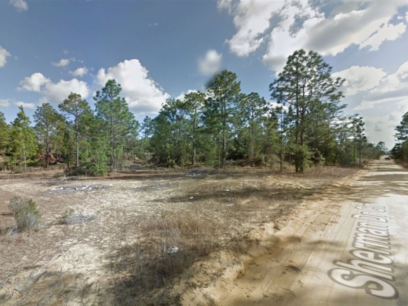Nice Lot in Interlachen Florida : Interlachen : Putnam County : Florida
