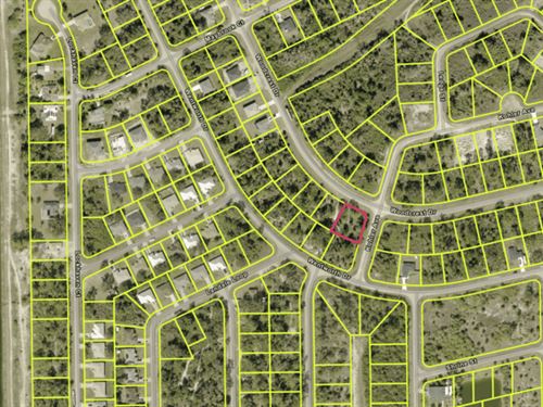 A Wonderfull Place in Florida : Lehigh Acres : Lee County : Florida