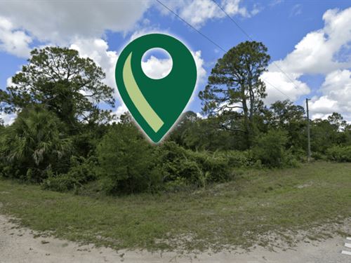 A Wonderfull Place in Florida : Lehigh Acres : Lee County : Florida
