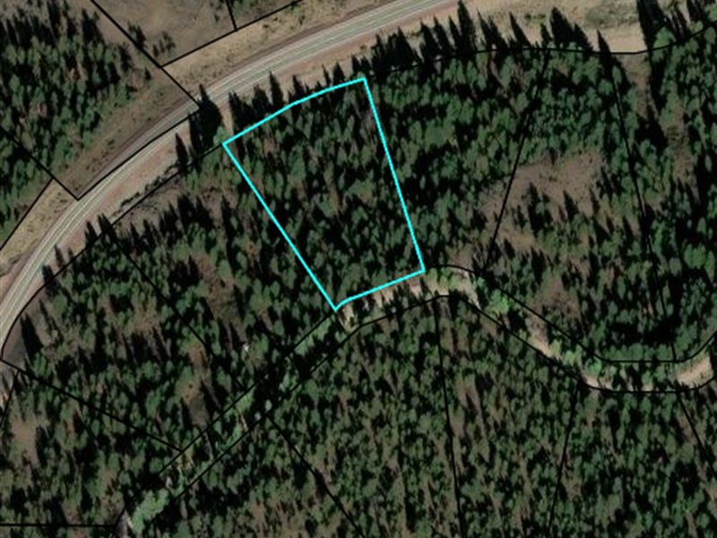 2.3 Acre Wooded Retreat in Bonanza : Bonanza : Klamath County : Oregon