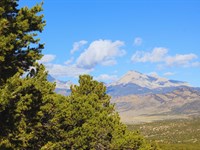 5 Acres Colorado Mountain Views : Fort Garland : Costilla County : Colorado