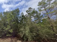 Build Dreams Not Sandcastles : Defuniak Springs : Walton County : Florida