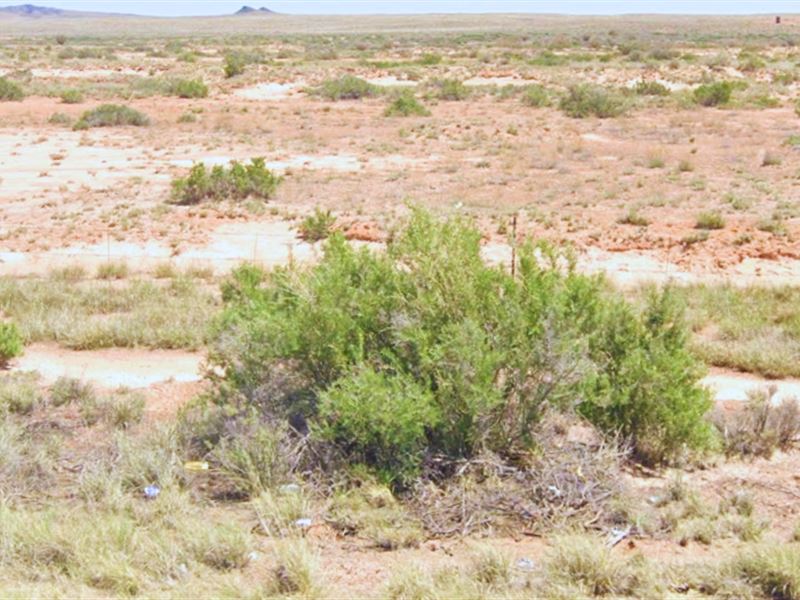 Off-Grid Ready, 1.25 Acres in AZ : Sun Valley : Navajo County : Arizona