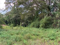 .22 Acre in Jones, MS : Laurel : Jones County : Mississippi