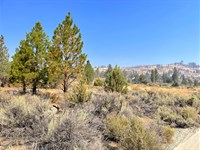 Invest in Stable Long-Term Security : Chiloquin : Klamath County : Oregon