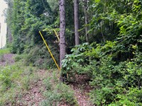 Secure Your Wealth Near Houston, TX : Woodville : Tyler County : Texas