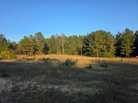 1067 Williams Rd : Wesson : Copiah County : Mississippi