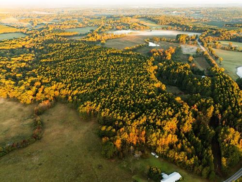 70 Acres, Jasper County : Newton : Jasper County : Mississippi