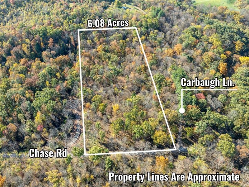Chase Rd, 6 Acres : Athens : Athens County : Ohio