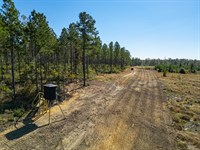 Oconee Corridor Farm : Irwinton : Wilkinson County : Georgia