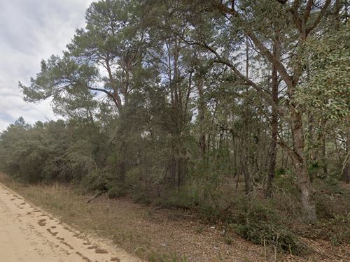 Build-Ready Lot in Interlachen Lake : Interlachen : Putnam County : Florida
