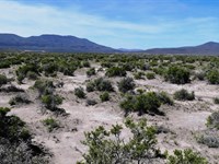 Your Nevada Adventure Basecamp Here : Elko : Nevada