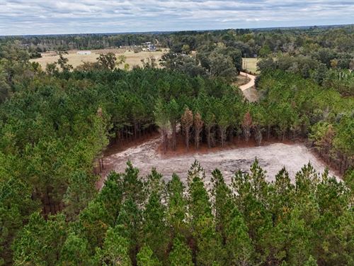 Tract 2 and 3, Penny Morris Road : Baxley : Appling County : Georgia