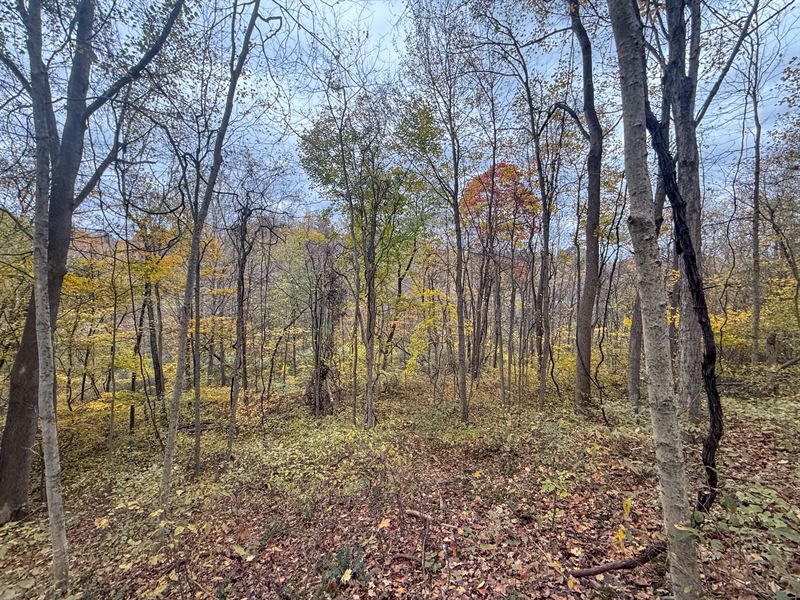 Pearl Wood Rd Lot 2 20 : Albany : Athens County : Ohio